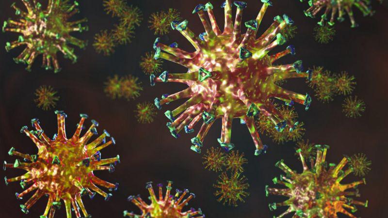 D virus