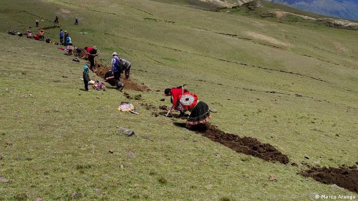 Campesina I