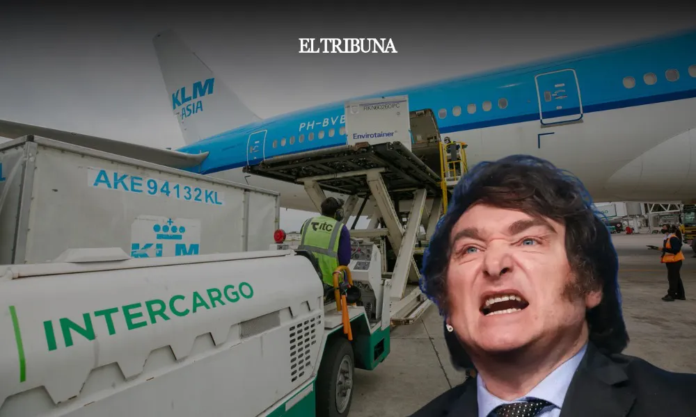 WhatsApp Image 2025-03-18 at 09.43.01