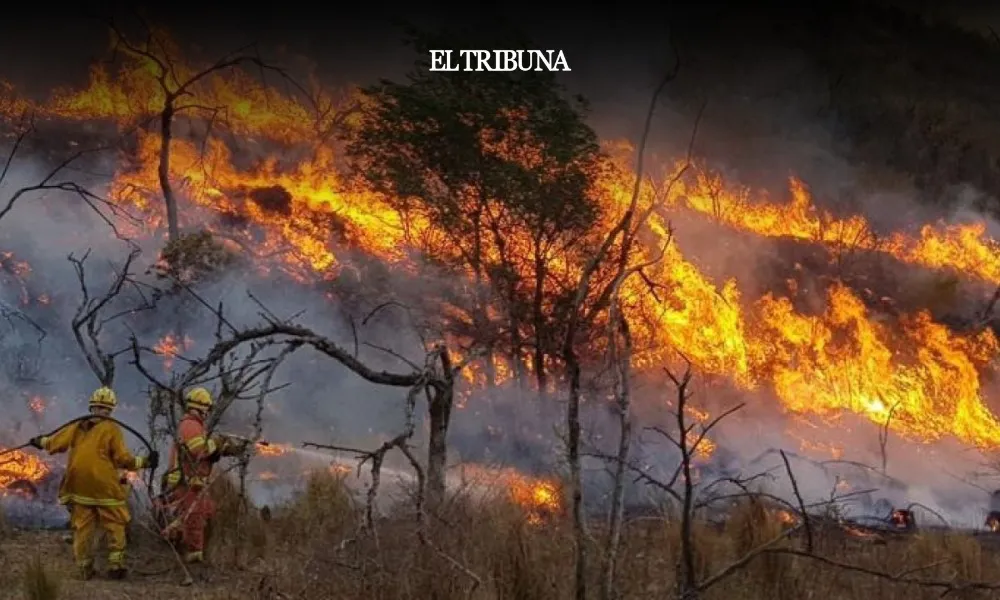 WhatsApp Image 2025-02-10 at 10.29.29