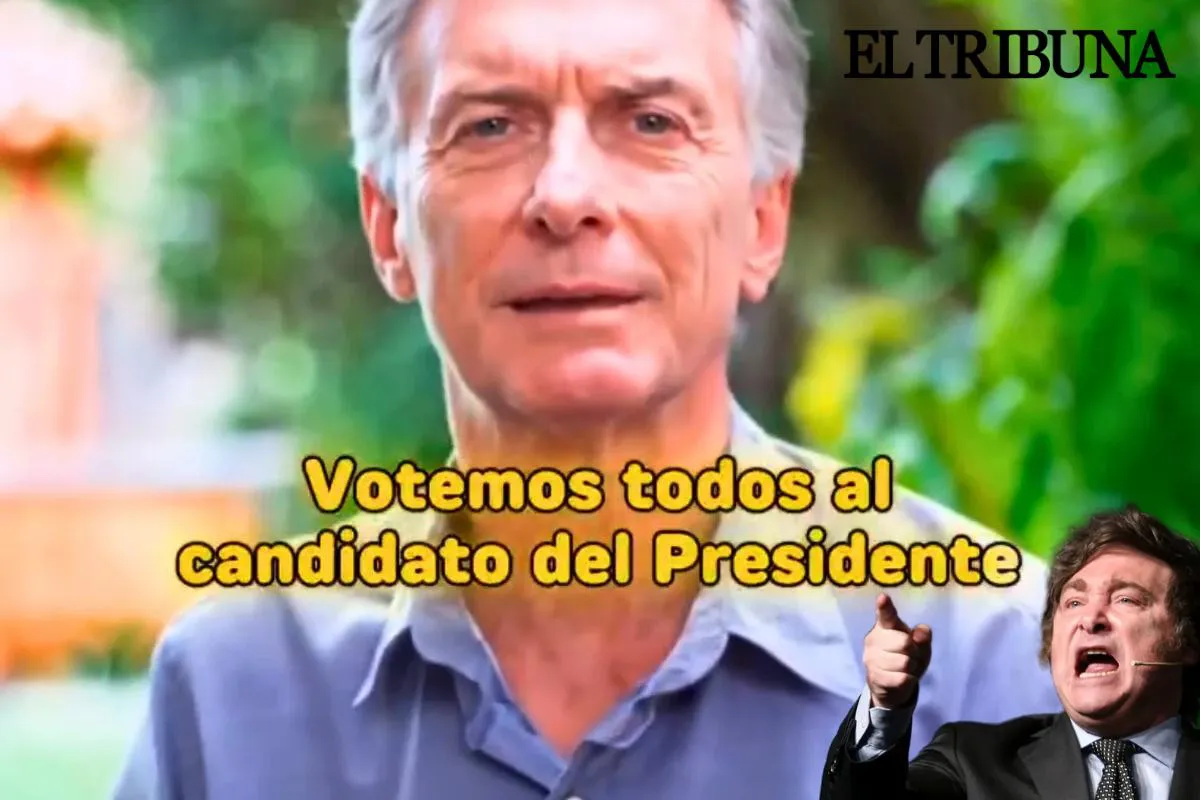 WhatsApp Image 2025-05-19 at 08.43.54