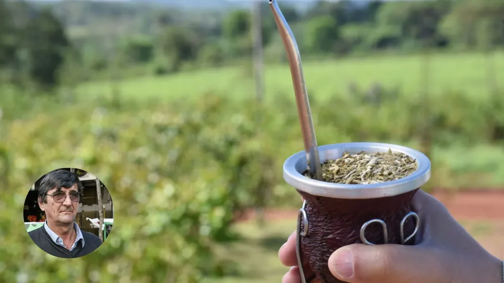 plantilla diario (2)