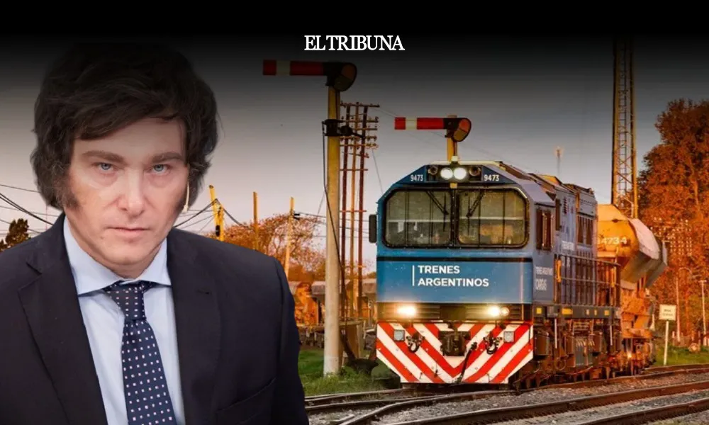 WhatsApp Image 2025-02-10 at 09.53.21