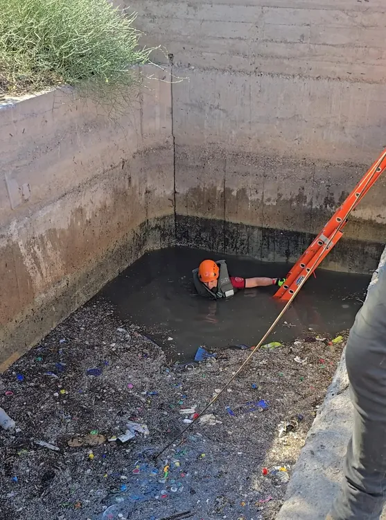 WhatsApp Image 2025-02-03 at 09.28.30