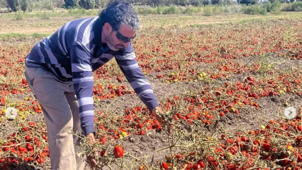 plantilla diario (35)