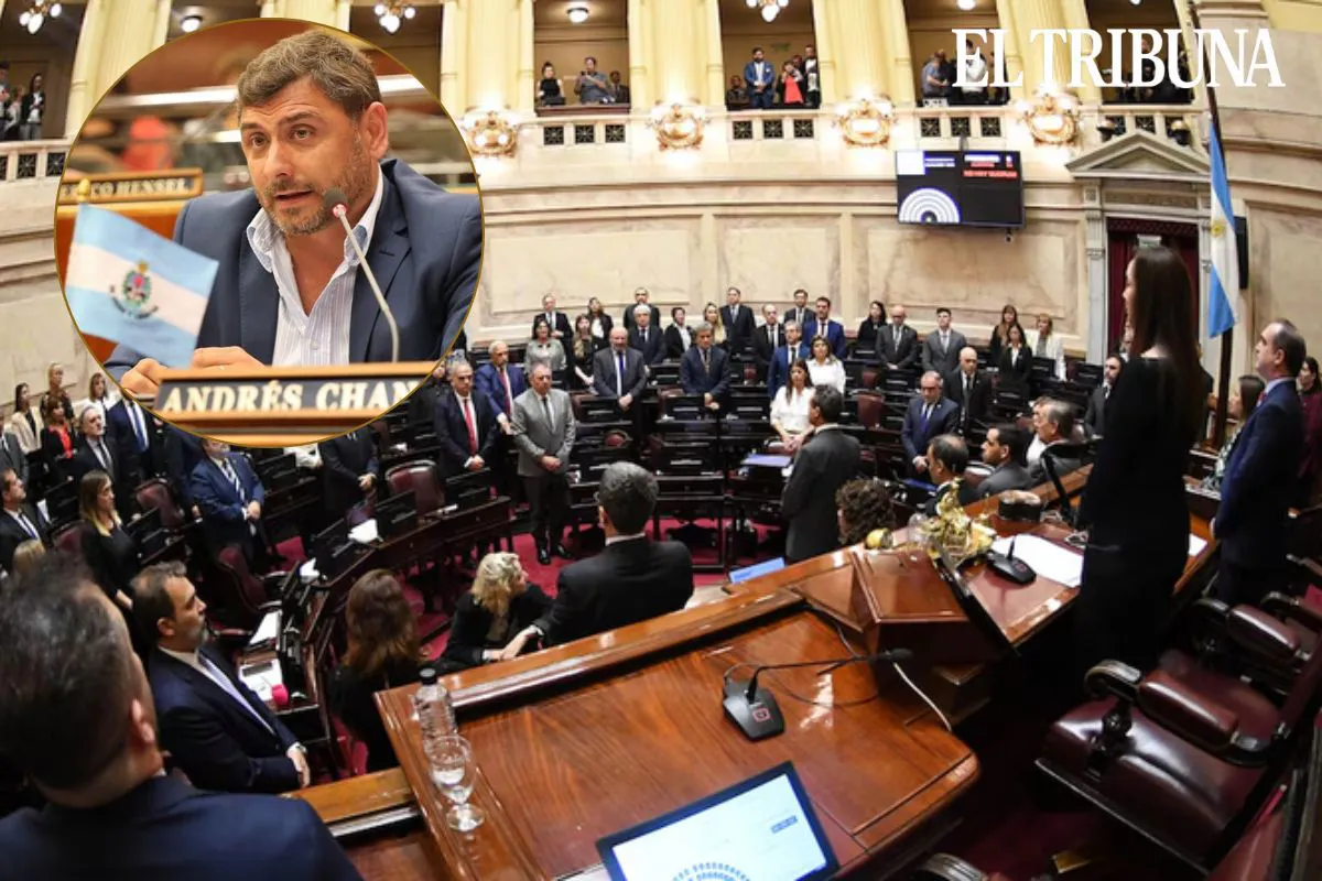 WhatsApp Image 2025-05-08 at 11.57.12