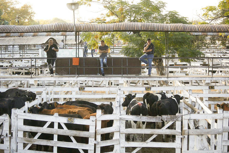 Lock out agrario