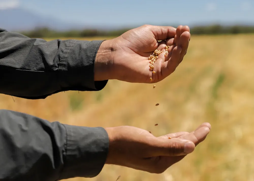 WhatsApp Image 2025-12-02 at 18.17.38 (2)