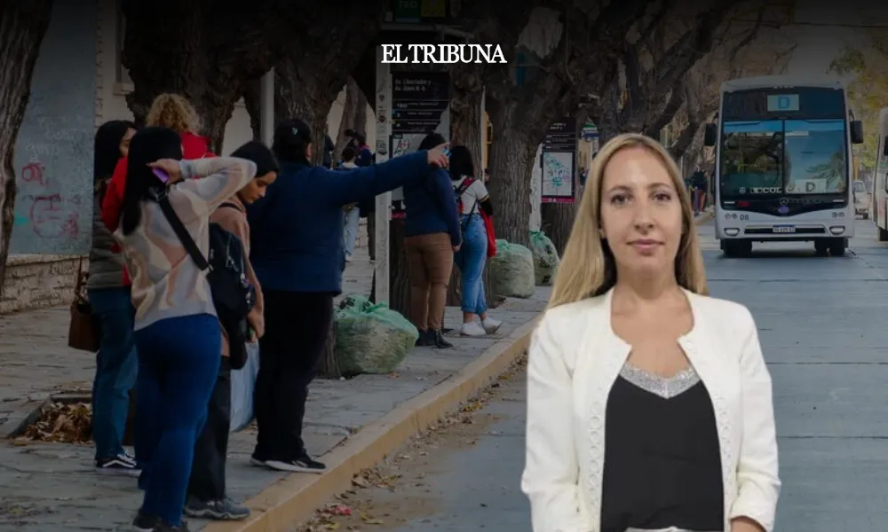 WhatsApp Image 2025-03-13 at 11.28.46