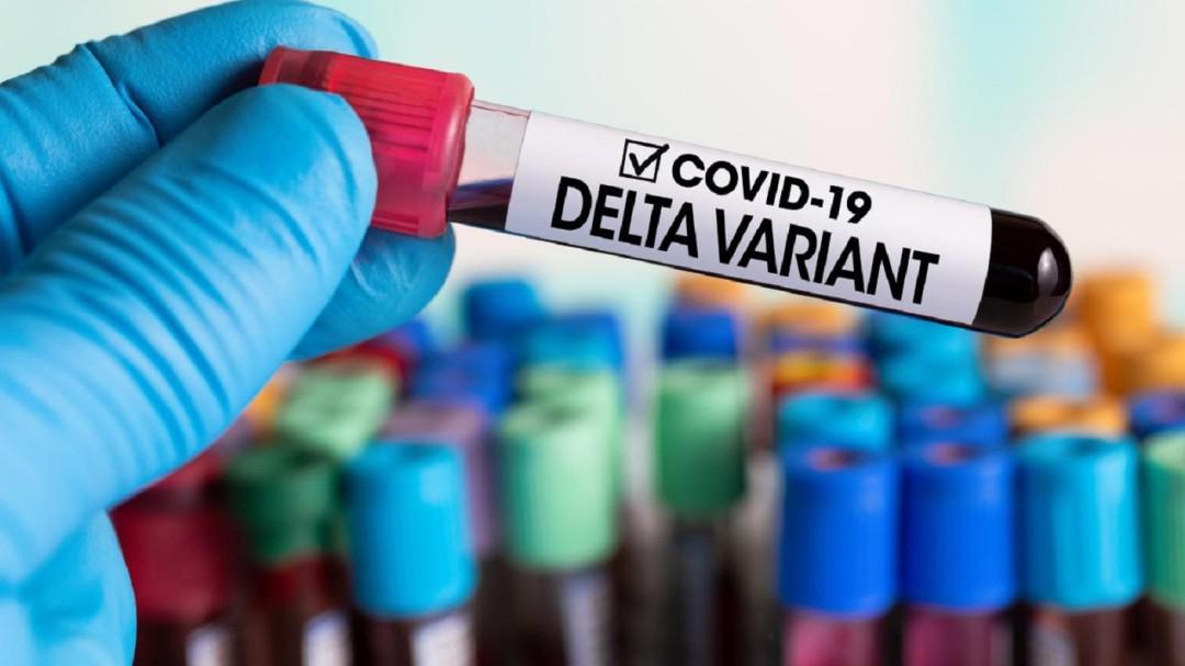 Variante delta