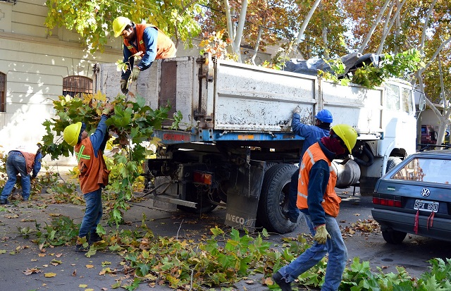 poda en catamarca -1- (1)