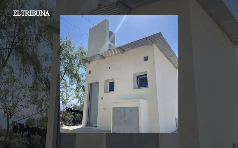 WhatsApp Image 2025-04-21 at 11.20.26