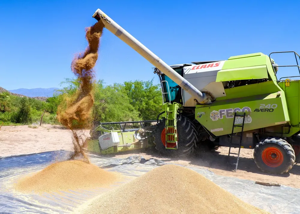 WhatsApp Image 2025-12-02 at 18.17.39