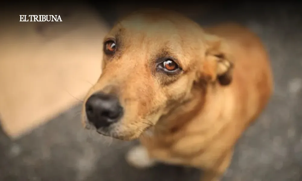 WhatsApp Image 2025-02-28 at 10.39.12