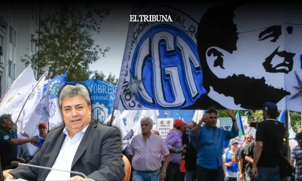 WhatsApp Image 2025-03-31 at 11.45.08