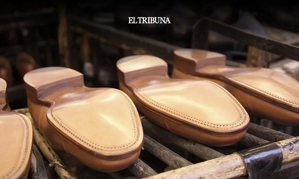 WhatsApp Image 2025-03-31 at 10.26.07