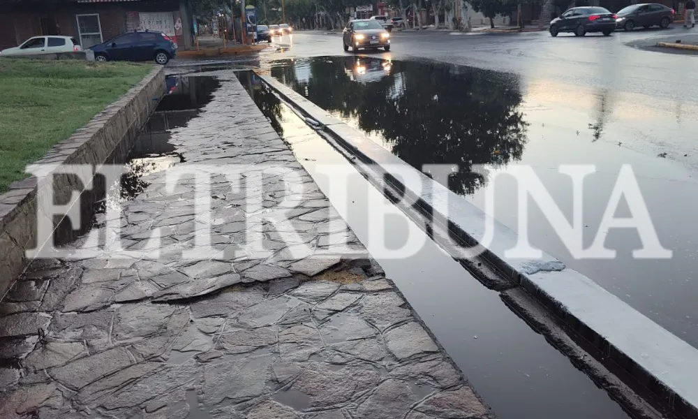 WhatsApp Image 2025-03-07 at 08.18.40 (1)