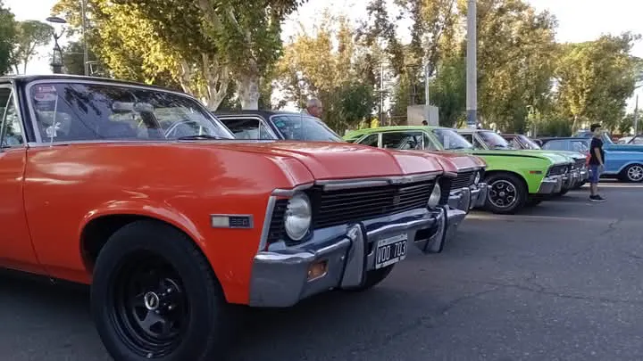 FB_IMG_1741783920952