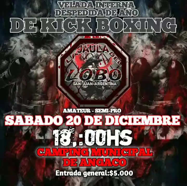 WhatsApp Image 2025-12-19 at 4.53.03 PM