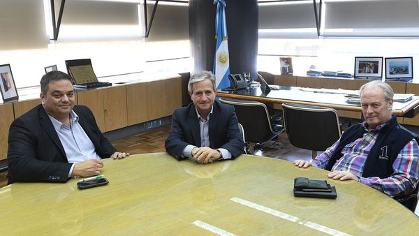 paritaria upcn