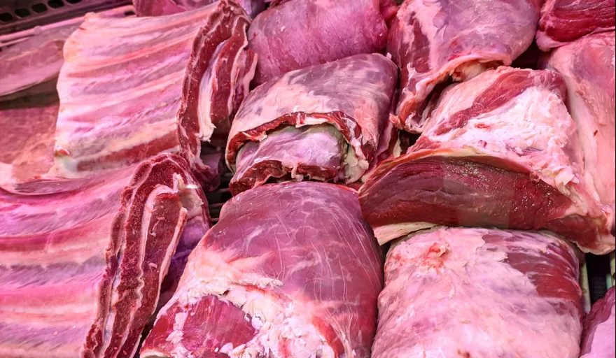Carne Alimento