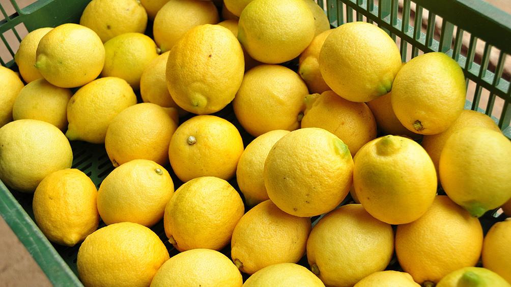 Limones