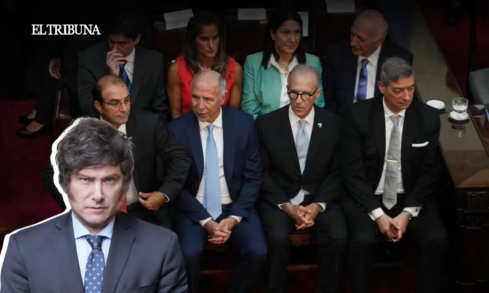 WhatsApp Image 2025-04-04 at 08.15.29