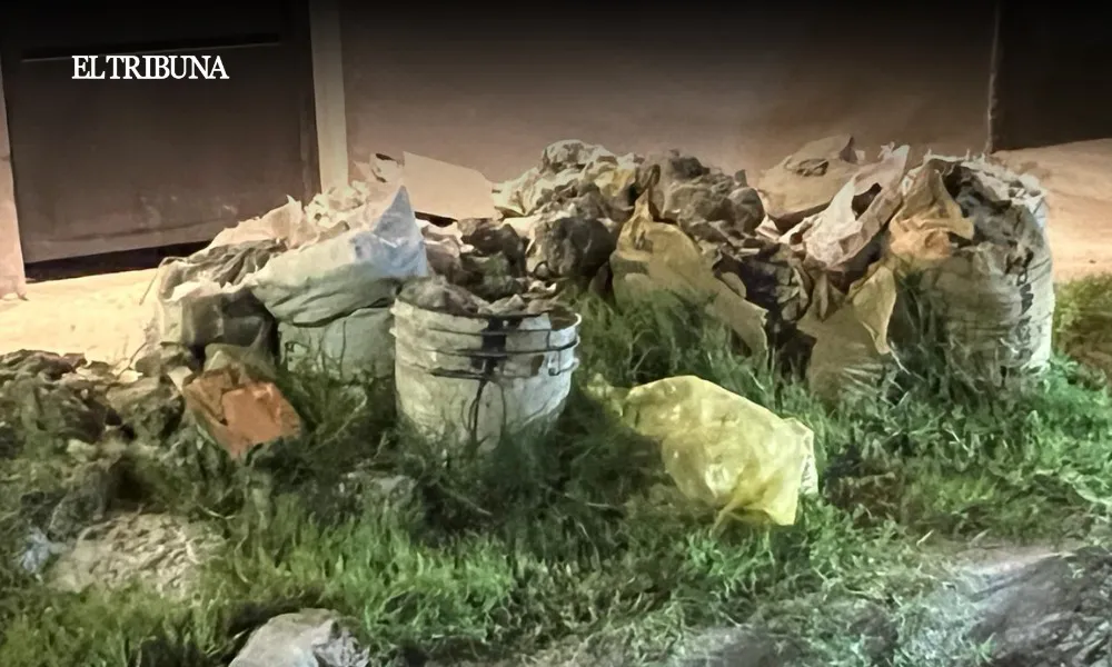 WhatsApp Image 2025-02-25 at 08.02.49