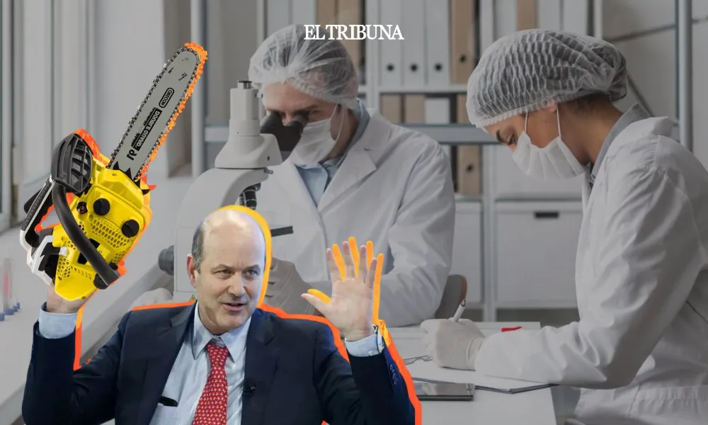 WhatsApp Image 2025-02-05 at 10.29.32 (1)