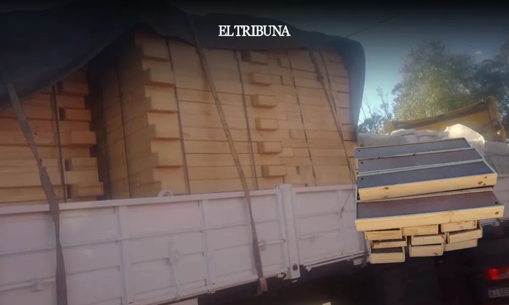 WhatsApp Image 2025-02-10 at 11.30.10 (1)