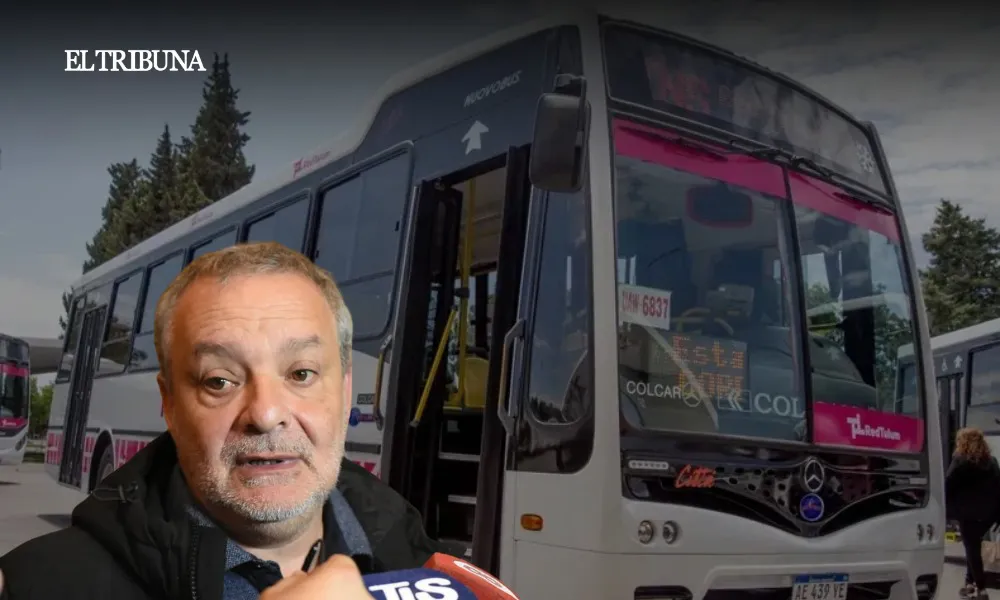 WhatsApp Image 2025-03-11 at 12.10.51