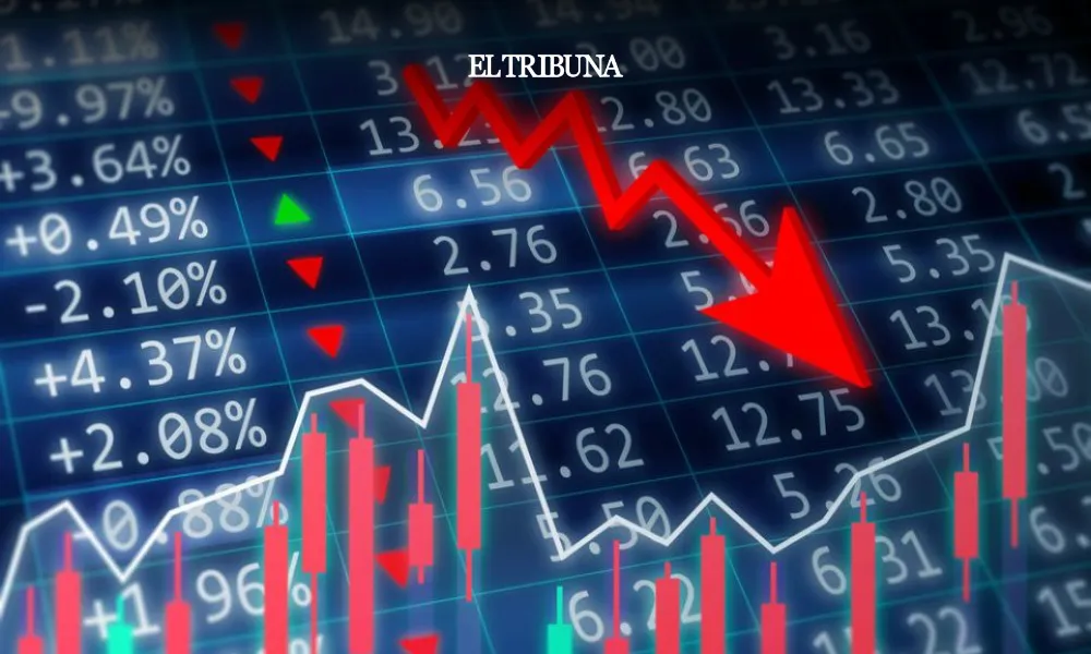 WhatsApp Image 2025-03-05 at 08.21.34