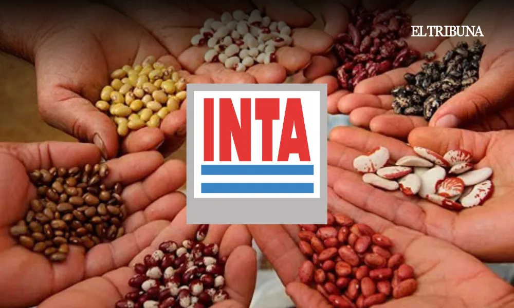 WhatsApp Image 2025-03-06 at 08.16.27