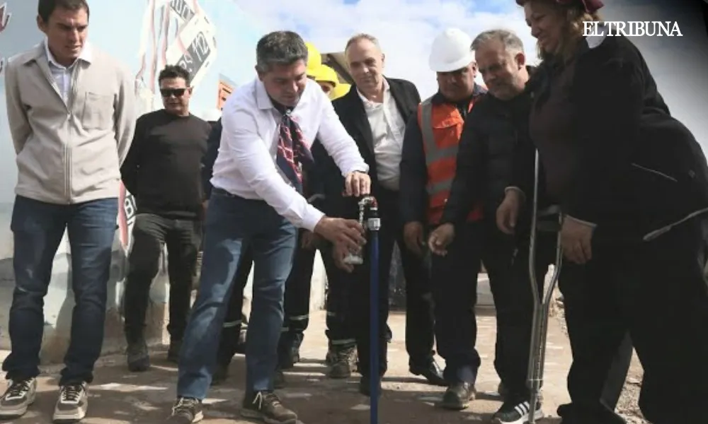 WhatsApp Image 2025-04-14 at 12.09.46