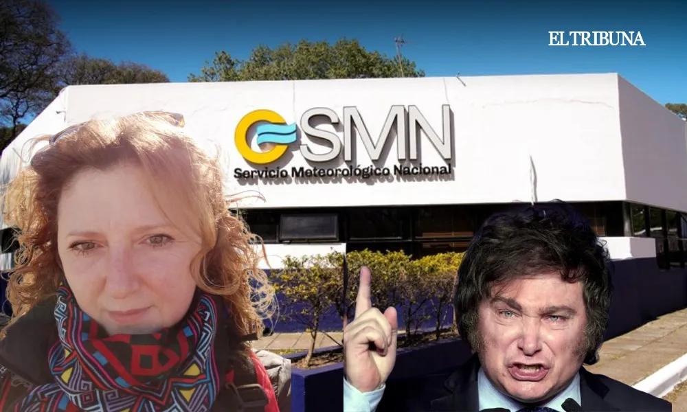 WhatsApp Image 2025-04-11 at 11.31.53