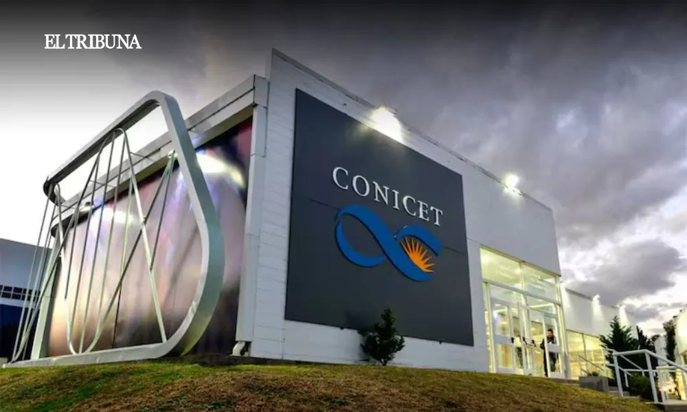 WhatsApp Image 2025-03-20 at 12.17.48