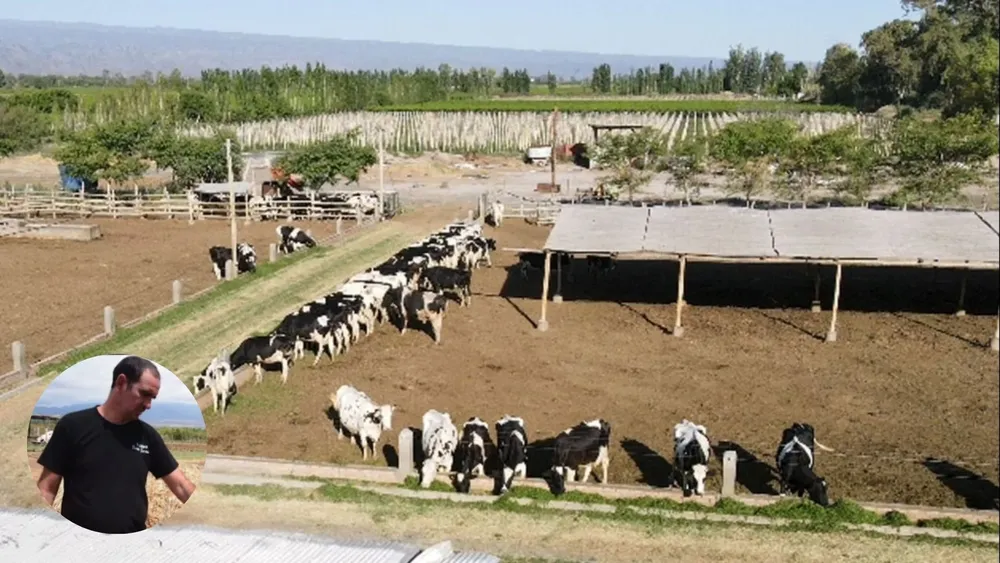 plantilla diario (1)