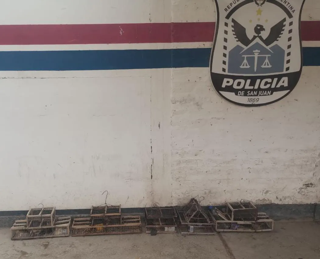 WhatsApp Image 2025-05-06 at 02.31.18