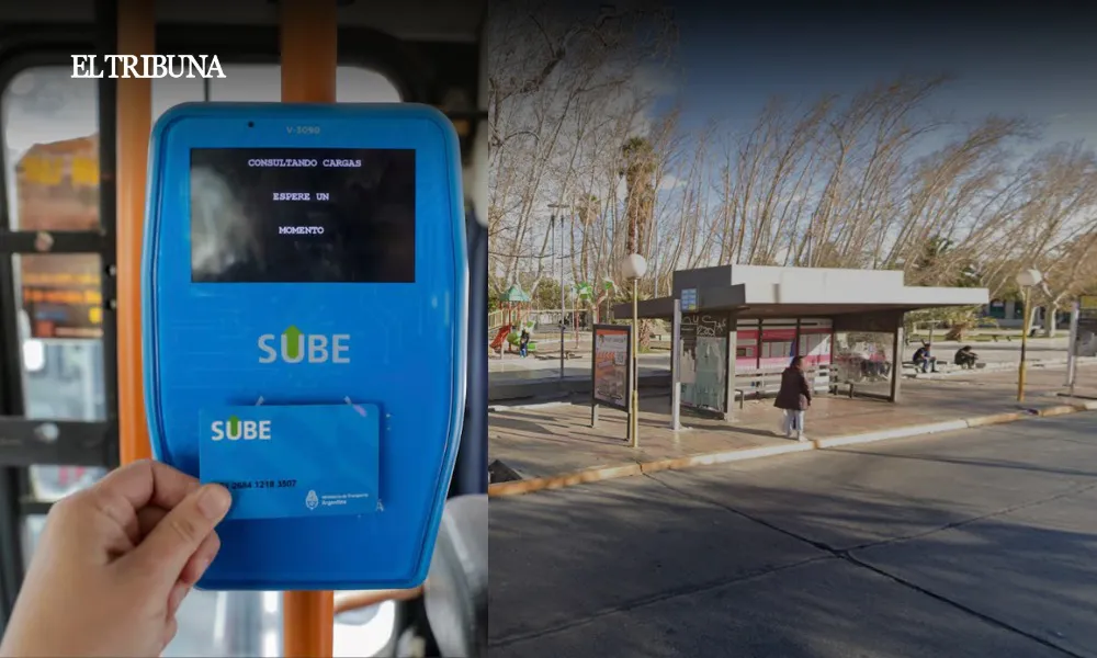 WhatsApp Image 2025-03-19 at 08.30.01