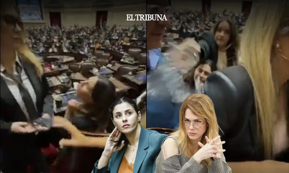 WhatsApp Image 2025-03-13 at 08.37.24