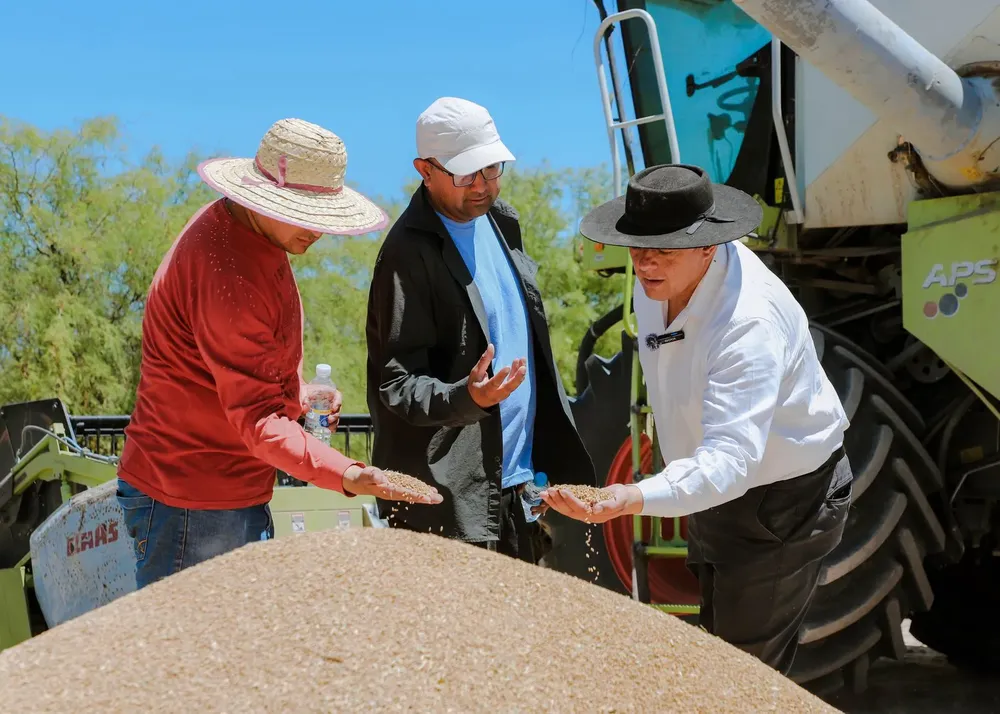 WhatsApp Image 2025-12-02 at 18.17.37