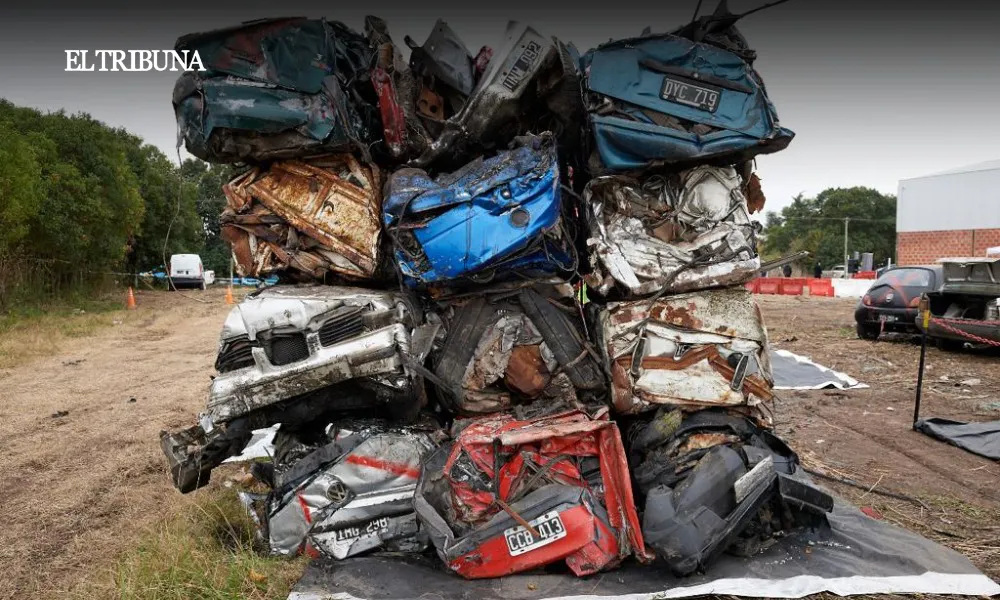 WhatsApp Image 2025-02-25 at 10.22.21