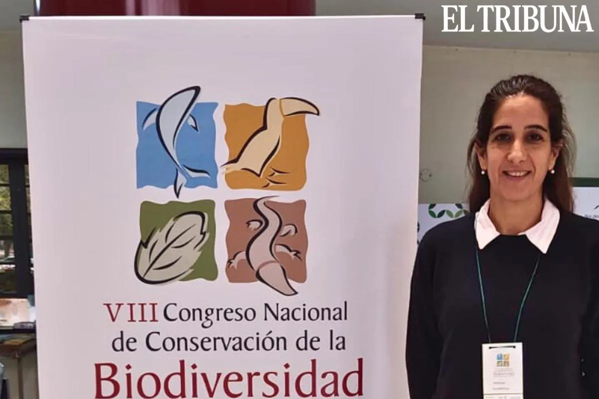 WhatsApp Image 2025-05-14 at 12.16.58