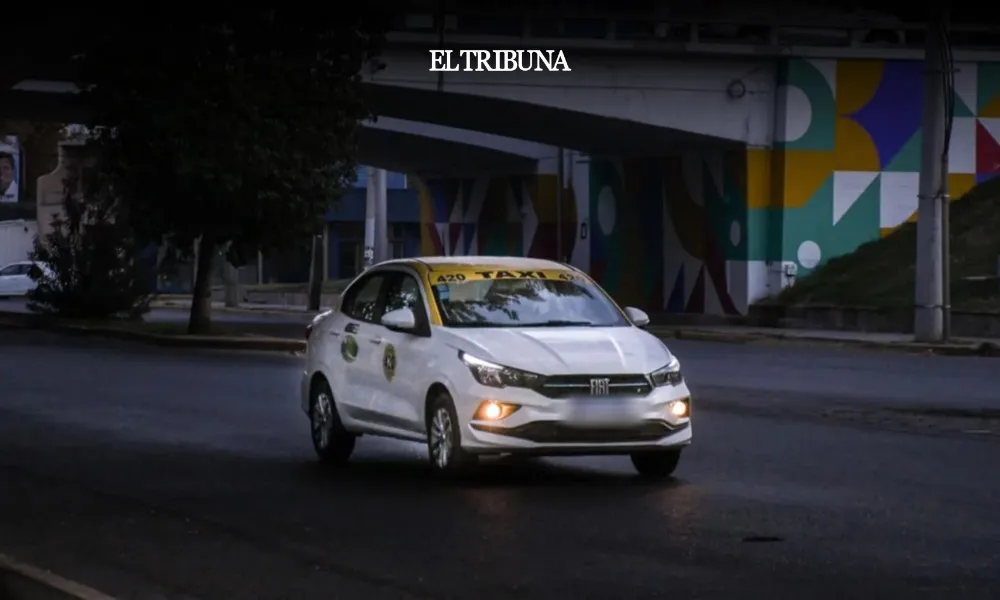 WhatsApp Image 2025-04-03 at 08.56.26