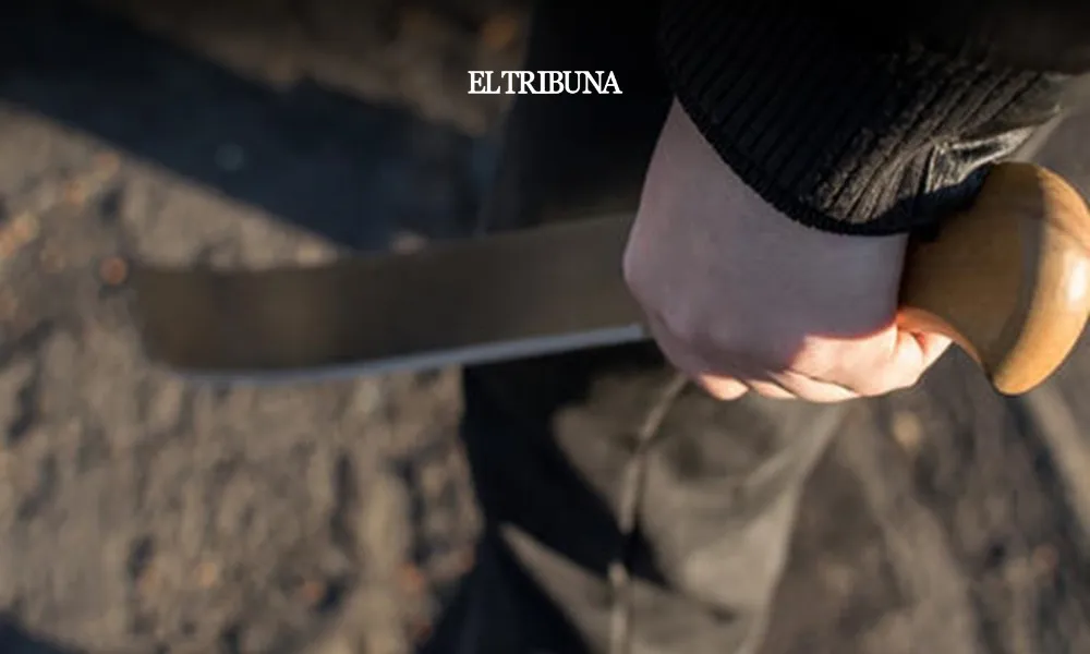 WhatsApp Image 2025-02-11 at 09.33.38