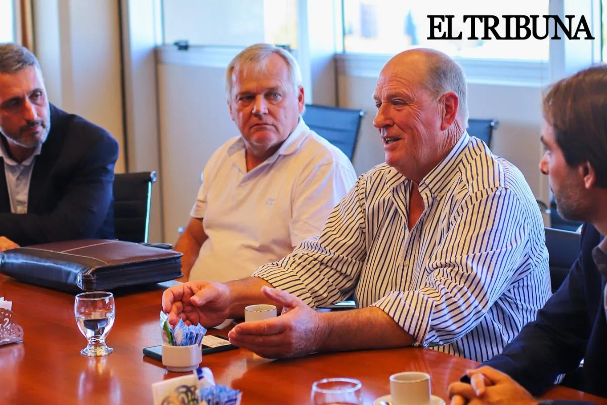 WhatsApp Image 2025-05-19 at 09.49.15 (1)