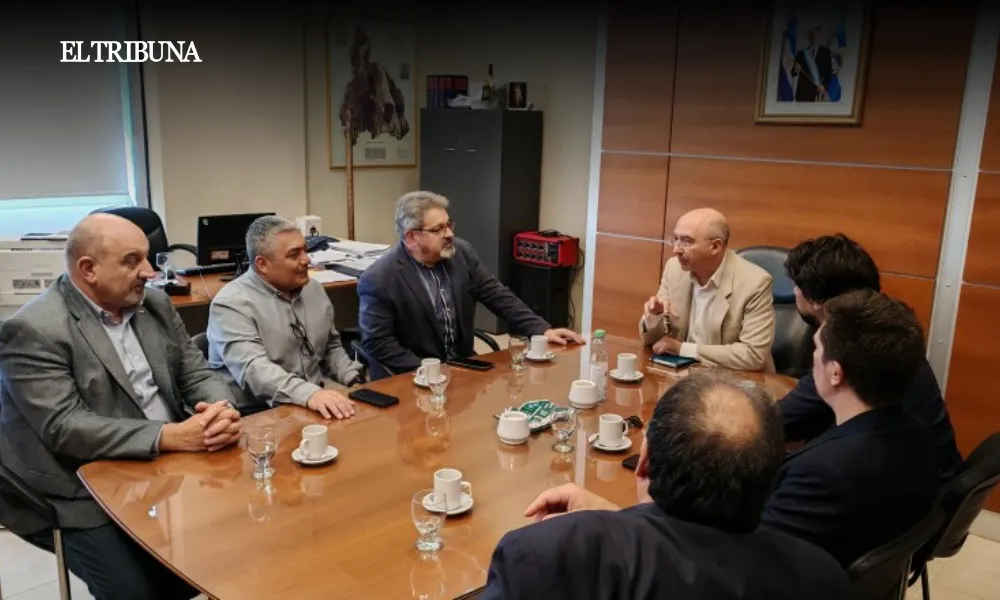 WhatsApp Image 2025-04-14 at 11.41.48