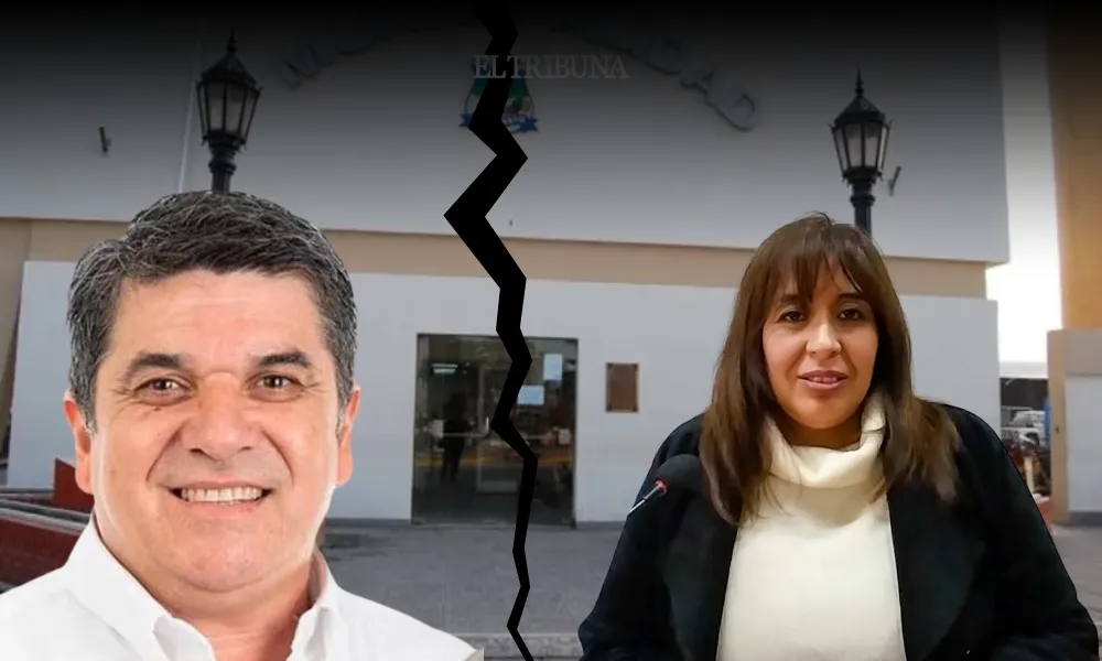 WhatsApp Image 2025-03-27 at 09.29.48