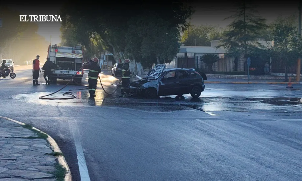 WhatsApp Image 2025-03-10 at 09.17.20