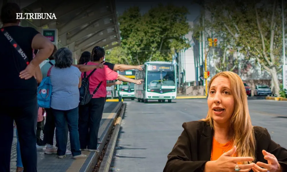 WhatsApp Image 2025-03-18 at 12.05.19